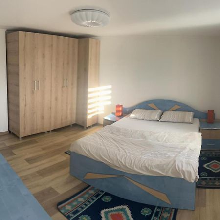Vila Exclusive Târgu Jiu Eksteriør billede